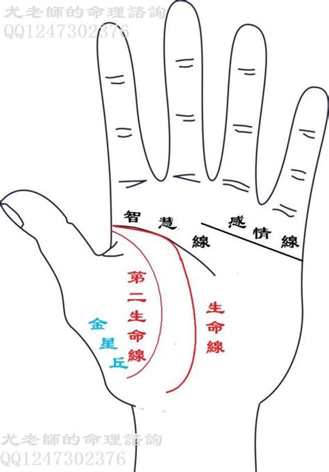 2條生命線|手相大全——生命線